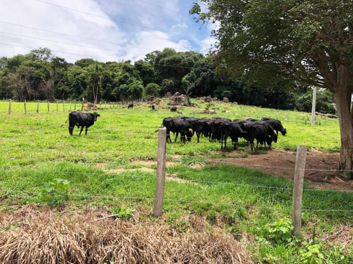 Sitio No Interior De Sp Para Curtir A Natureza Águas da Prata Exteriör bild