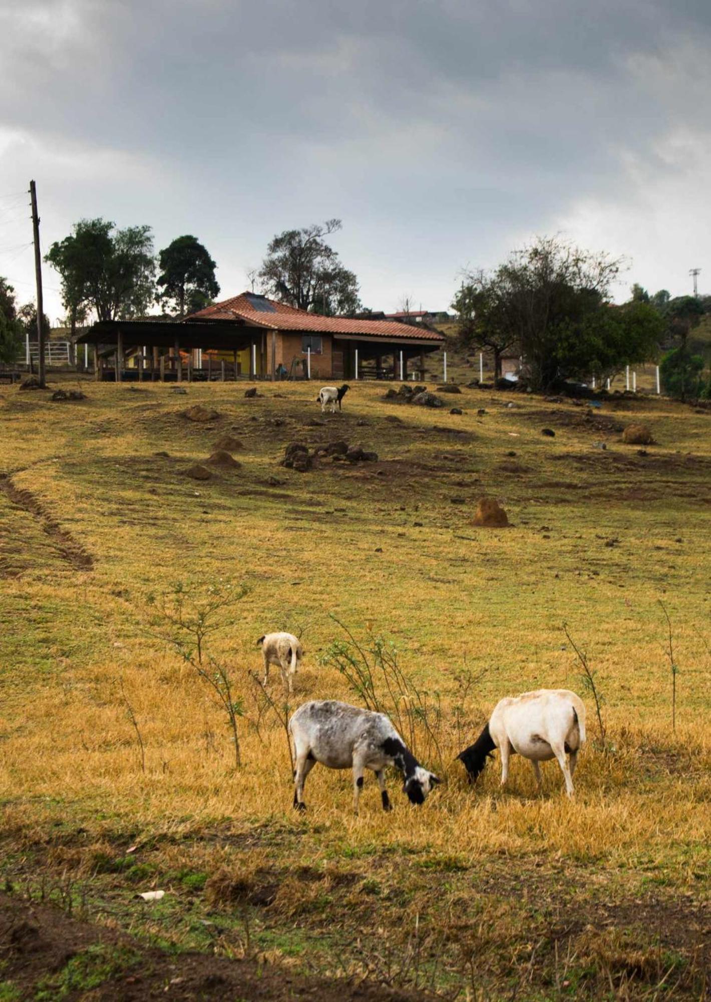 Sitio No Interior De Sp Para Curtir A Natureza Águas da Prata Exteriör bild